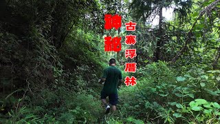 探秘贵州侗族古浮厝林，百具木棺露天森林中，村民谈之色变 |古迹|风俗|探秘|