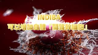 西班牙 INDIBA 200W頂級醫療版『間質幹細胞』《細胞修復》療程