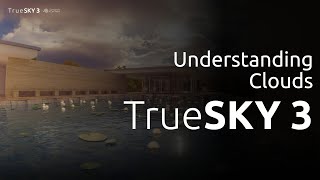 Understanding Clouds in TrueSKY