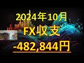 2024年11月せどり売上・利益をリアル報告