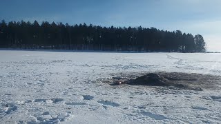 hirven loppu! sudet oli tappaneet järven jäälle. EI HERKILLE!