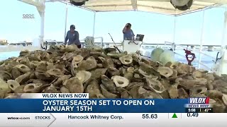 Mississippi oyster season to reopen on Jan. 15