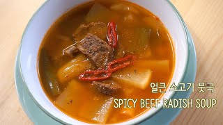 얼큰 소고기 뭇국(일명:가마솥 소고기국밥)::소고기 국 누린내 안나게 끓이는 비법 SPICY BEEF RADISH SOUP