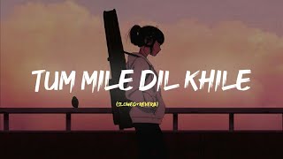 Tum Mile Dil Khile ||(slowed and reverb) ✨