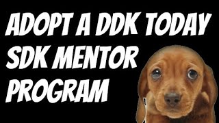 BeginnerGo Peer Mentoring Program