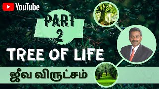 Tree of Life | Part 2 | ஜீவ விருட்சம் | Pastor. Sam Bakther John | Faith Ministries | Coimbatore |