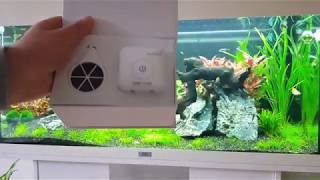 Chichiros Doctor 3 in 1 Setup In Aquarium 4k.