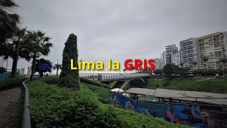 Lima la Gris