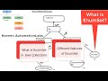 #23 - What is #EnumSet in Java Collection Framework?