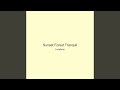 Sunset Forest Tranquil