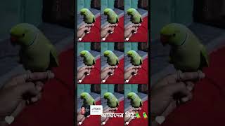 আমার মিঠু🦜🦜