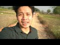 arni amir sunflower garden vlog