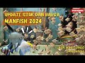 Update Stok dan Harga Ikan Manfish 2024 | Spill Ikan Congo dan Ikan Rainow Shiner