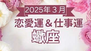 【蠍座】さそり座🌈2025年3月💖の運勢✨✨✨仕事とお金・恋愛・パートナーシップ［未来視タロット占い］