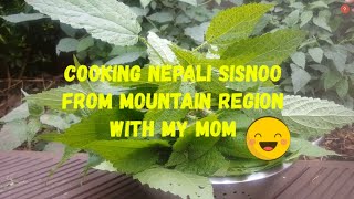 Mom's delicious recipe of Nepali sisnoo (Nettle)  :) (मिठो सिस्नु पकाउने तरिका )