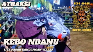 ATRAKSI KEBO NDANU ADIPATI SRUDUK LIVE KANDANGAN PASAR WAJAK