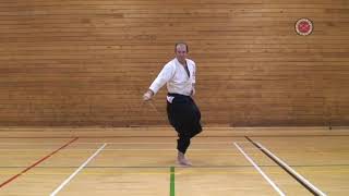 Ryukyu Kobujutsu Sai Tsukai Kata