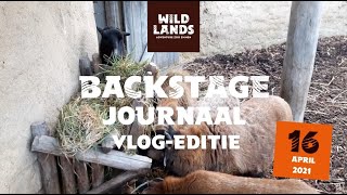 WILDLANDS Backstage Journaal vlog-editie 16 april 2021