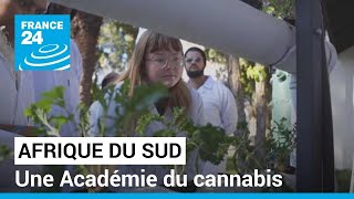 Afrique du Sud : une école pour former aux métiers du cannabis • FRANCE 24