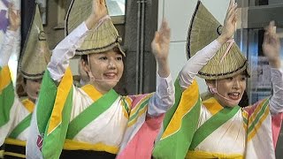 流し踊り「初台連」第47回初台阿波踊り（2016.9.23）