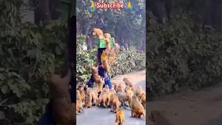 🙏🙏 असली खुशी 🐒#humanity #motivation #help #tranding #viralshort #ytshorts #animals #monkey #shorts 🌹