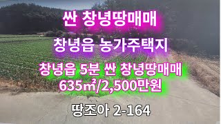 [땅조아 2-164] 창녕읍 인근 (창녕ic 3분) 마을 인접(전기有 도로접) 싼 창녕땅(635㎡/2,500만원)[창녕부동산]