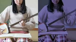 【三味線一人二重奏】長唄 鷺娘-後半新合方- Japanese Shamisen Music