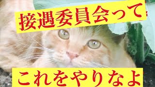 【介護スキル】接遇指導に魔法なんてあるの⁉️