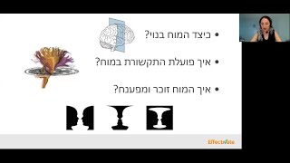 אפקטיבייט (Effectivate) - מסתורי המוח: מה אנחנו יודעים כיום ואיך גילינו זאת