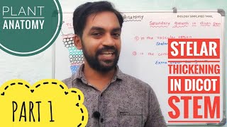 Secondary Growth in Dicot stem | Part 1 | Plant Anatomy | V Senthilnathan