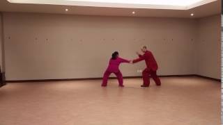 Northern Shaolin Tantui Basic Combat Sequence 5