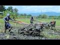 Working Fast !! Diesel Two Wheel Hand Tractor Ploughing Dirt