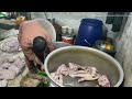 naeem jan siri paye recipe 200 kg siri paye recipe heads u0026 legs fry subah ka nashta paye