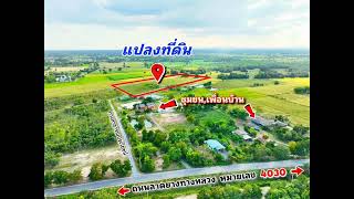 ที่ดินแบ่งขาย ราคาถูก ต.หนองราชวัตร อ.หนองหญ้าไซ จ.สุพรรณบุรี