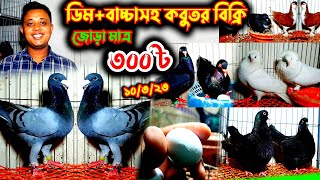 মাত্র ৩০০ টাকা জোড়া কবুতর কিনুন ডিম+বাচ্চাসহ | খুবই সীমিত দামে কবুতর কিনুন খামার থেকে | পানির দামে