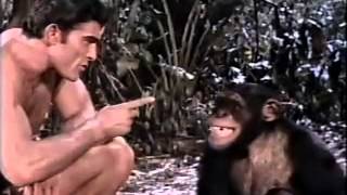 TARZAN E O VALE DO OURO - DUBLAGEM HERBERT RICHERS