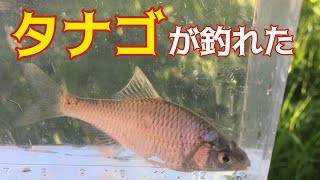 【小物釣り】前半は苦戦、後半に嬉しい出会いが！