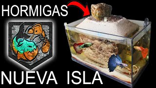 Nuevo Hogar para mis Hormigas -  La Isla Perdida