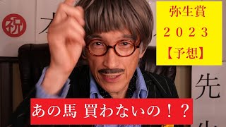 弥生賞　２０２３年【予想】前走着順に惑わされるな！