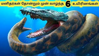 அழிந்துபோன உயிரினங்கள் || Six Oldest Dinosaur Fossil Discoveries || Tamil Info Share