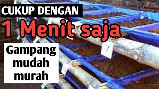 CARA MEMBUAT MEDIA TERNAK CACING TANAH MUDAH DAN MURAH