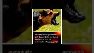 உன் வாழ்க்கை முடிந்த விடும்#lifelessons #motivationalvideo