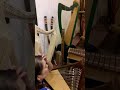 harpist from singapore playing a woodsong carmel harp