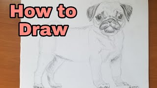 HOW TO DRAW A DOG ( Pug drawing tutorial )