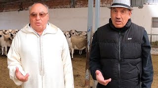 الفديو الدي ينتظره  الجميع 🐑 ضيعة إخوان خليل تستعرض انتاجها من فحول الصردي االمعروضة على ANOC 2024