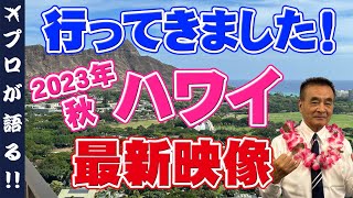 【ハワイ旅行】2023年9月ワイキキ最新映像！街の様子や、ビーチでの過ごし方は？