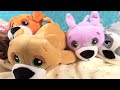 cutetitos blind bag burrito rolled plush series 1 unboxing toy review pstoyreviews