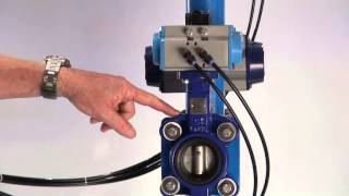 BFK Pneumatically Actuated Butterfly Valves