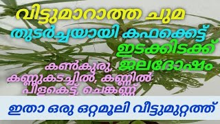 ഒരിക്കലും വിട്ടുമാറാത്ത കഫക്കെട്ടിന് ഒരു ഒറ്റമൂലി. ഈ ചെടി കണ്ടാൽ വിട്ടുകളയരുത്.പനിമാറാൻ ഇതുമതി.