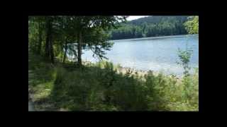 Lipno Lake Bike Tour from / to Frymburk